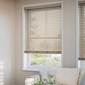 サムネイル写真