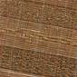 サムネイル写真